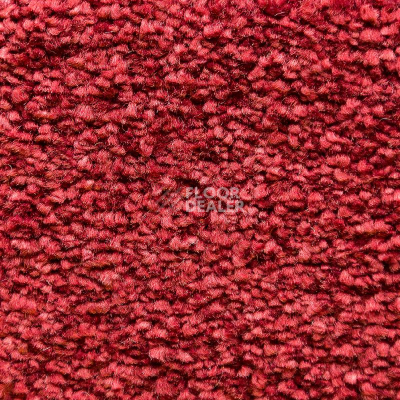 Ковролин AW Masquerade Lucrezia 11 фото 1 | FLOORDEALER